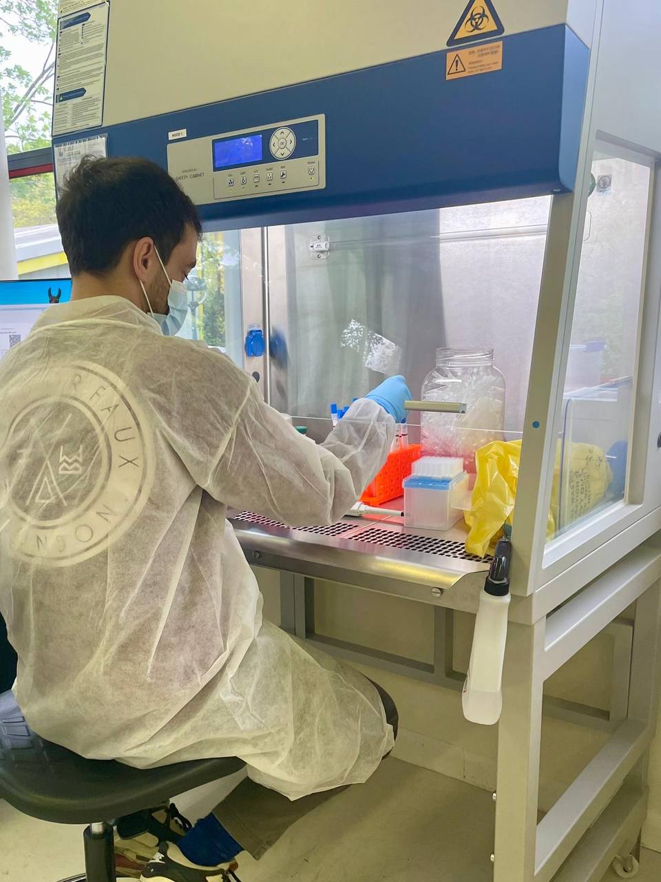 Researcher at biosafety hood